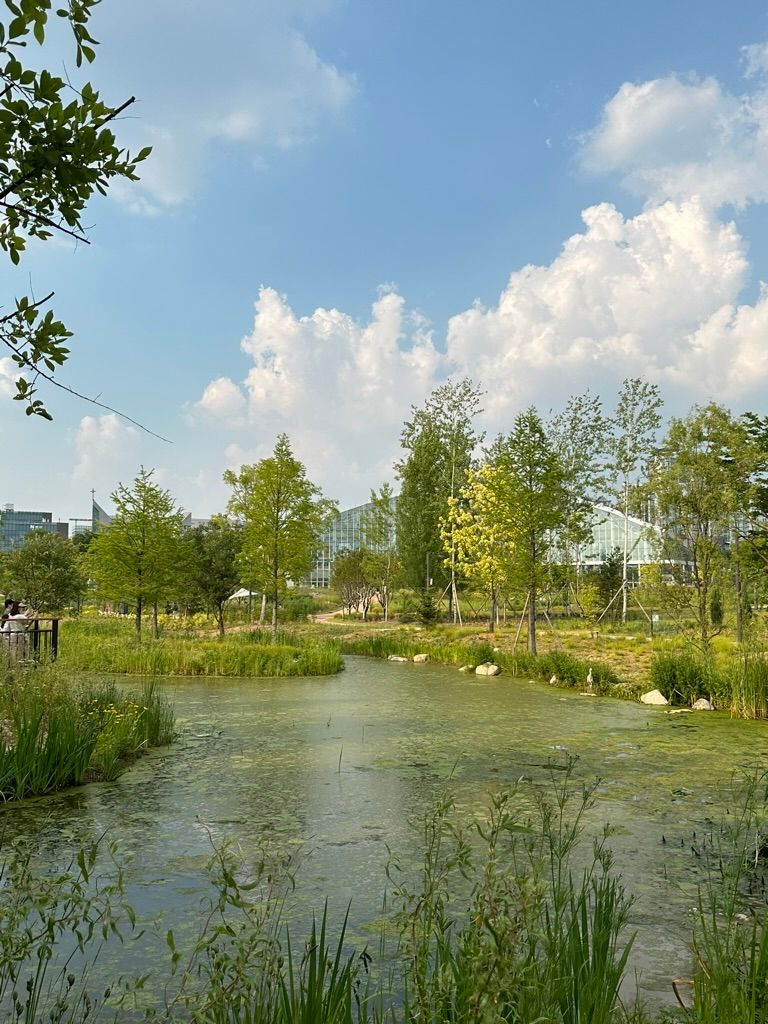 메인 사진