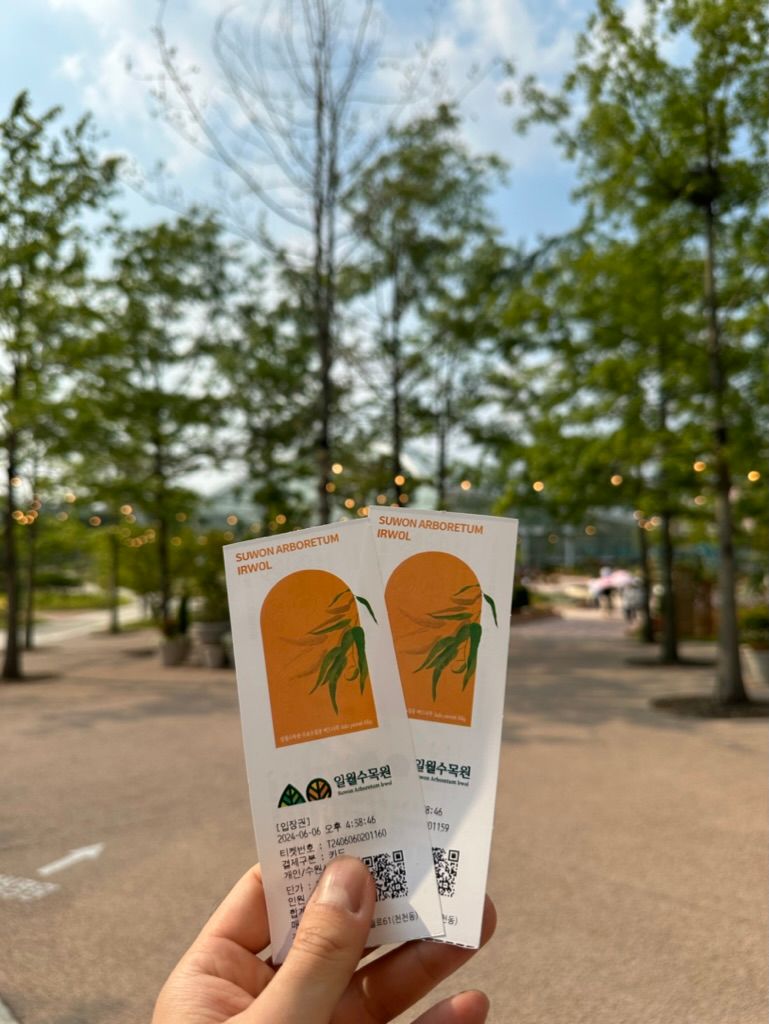 메인 사진